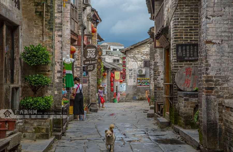 了解知识星球平台-英语单词记不住该咋办...,获取知识的新体验